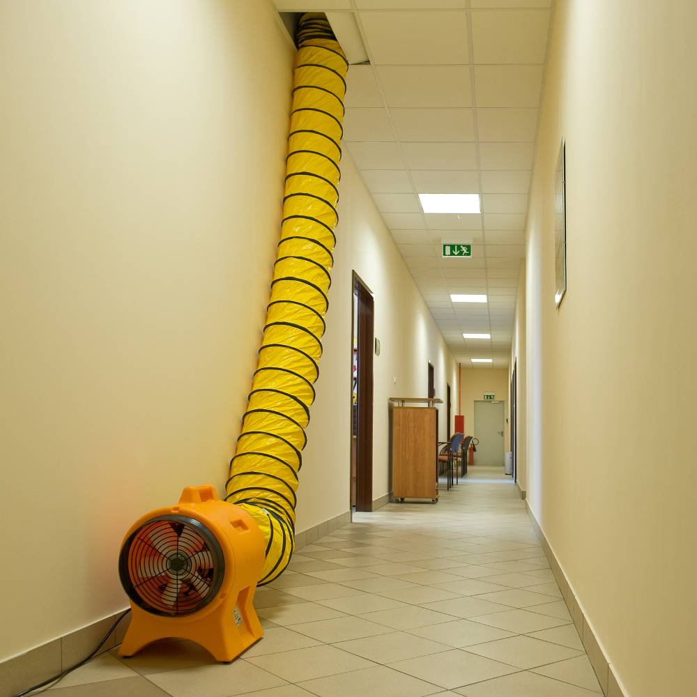 Master prof_puhaci_primjena_2 Master prof_puhaci_primjena_2